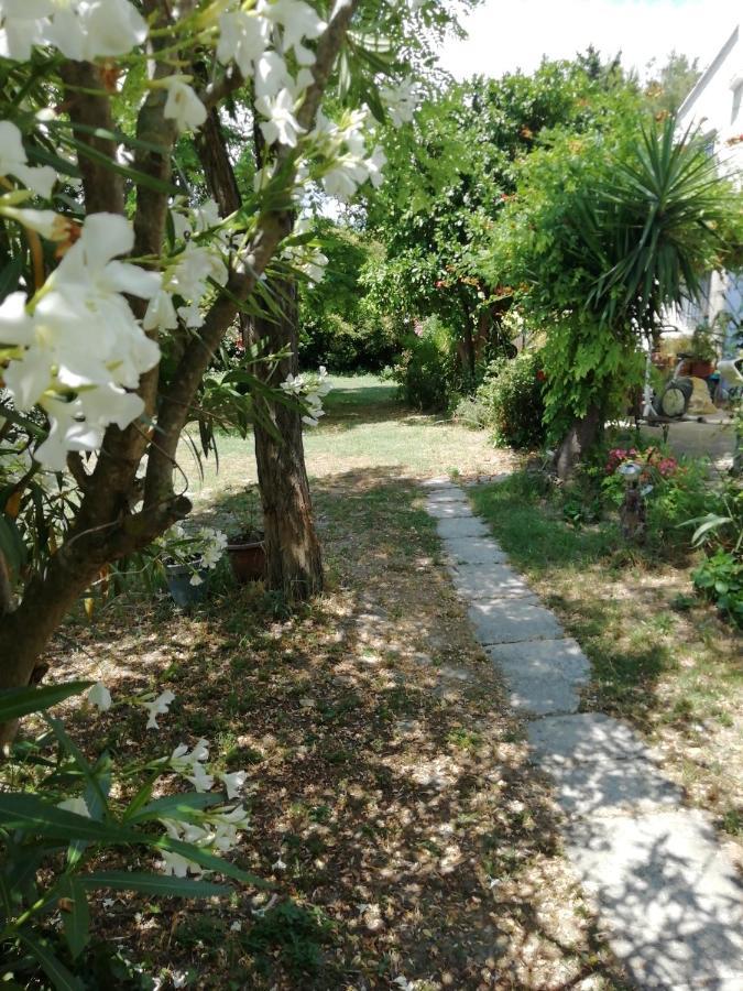 Chambre D'Hote - Mas Le Barret Arles Ngoại thất bức ảnh